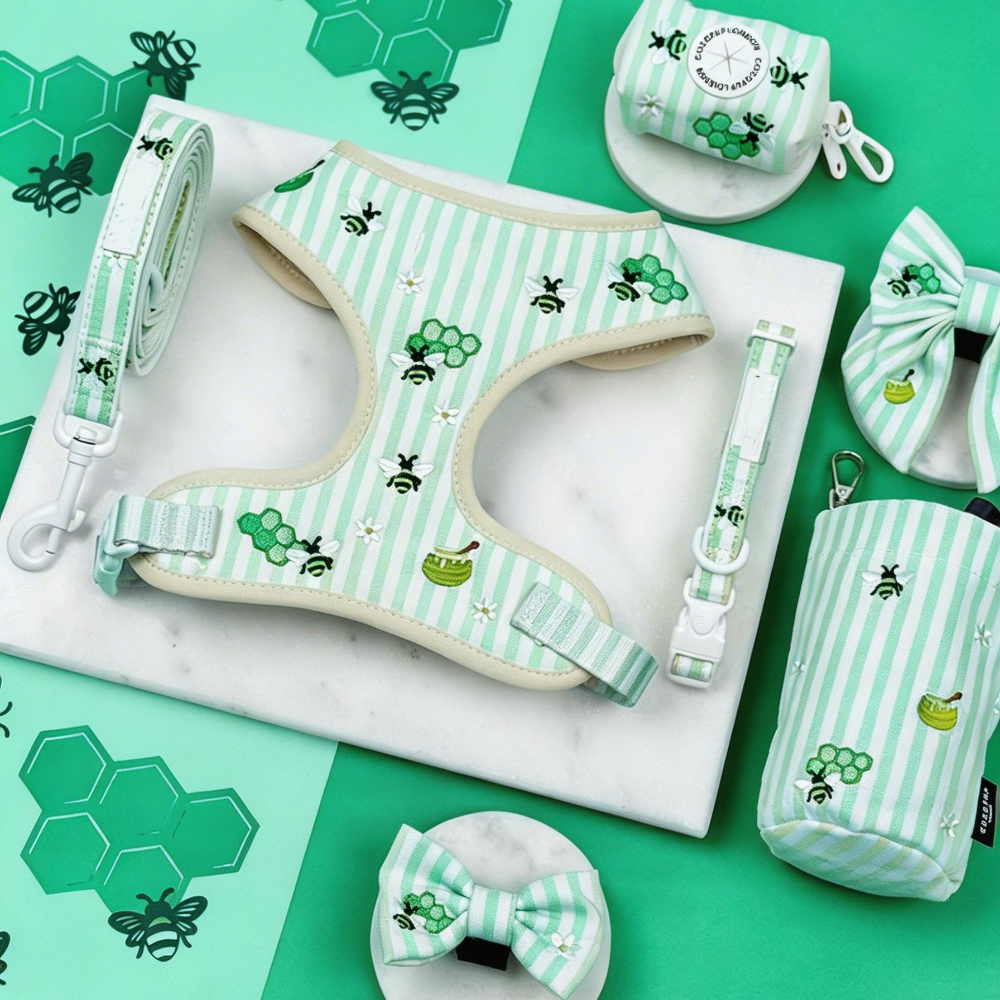 Bulk Personalized Harness Dog Sets | Private Label Custom Pet Accessories for Boutiques & Startups