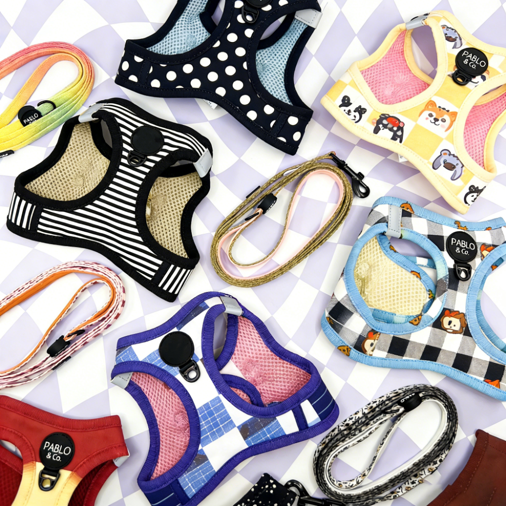 Bulk Personalized Harness Dog Sets | Private Label Custom Pet Accessories for Boutiques & Startups