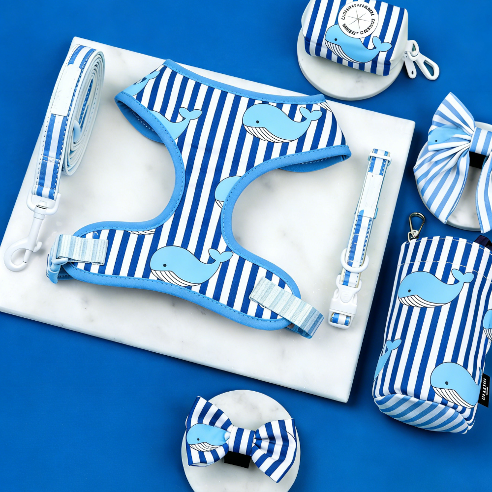 Bulk Personalized Harness Dog Sets | Private Label Custom Pet Accessories for Boutiques & Startups