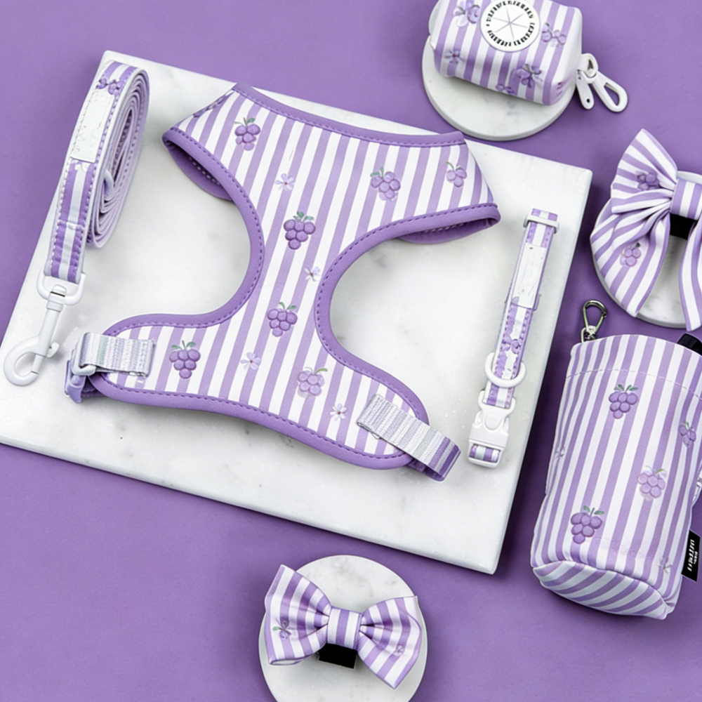 Bulk Personalized Harness Dog Sets | Private Label Custom Pet Accessories for Boutiques & Startups