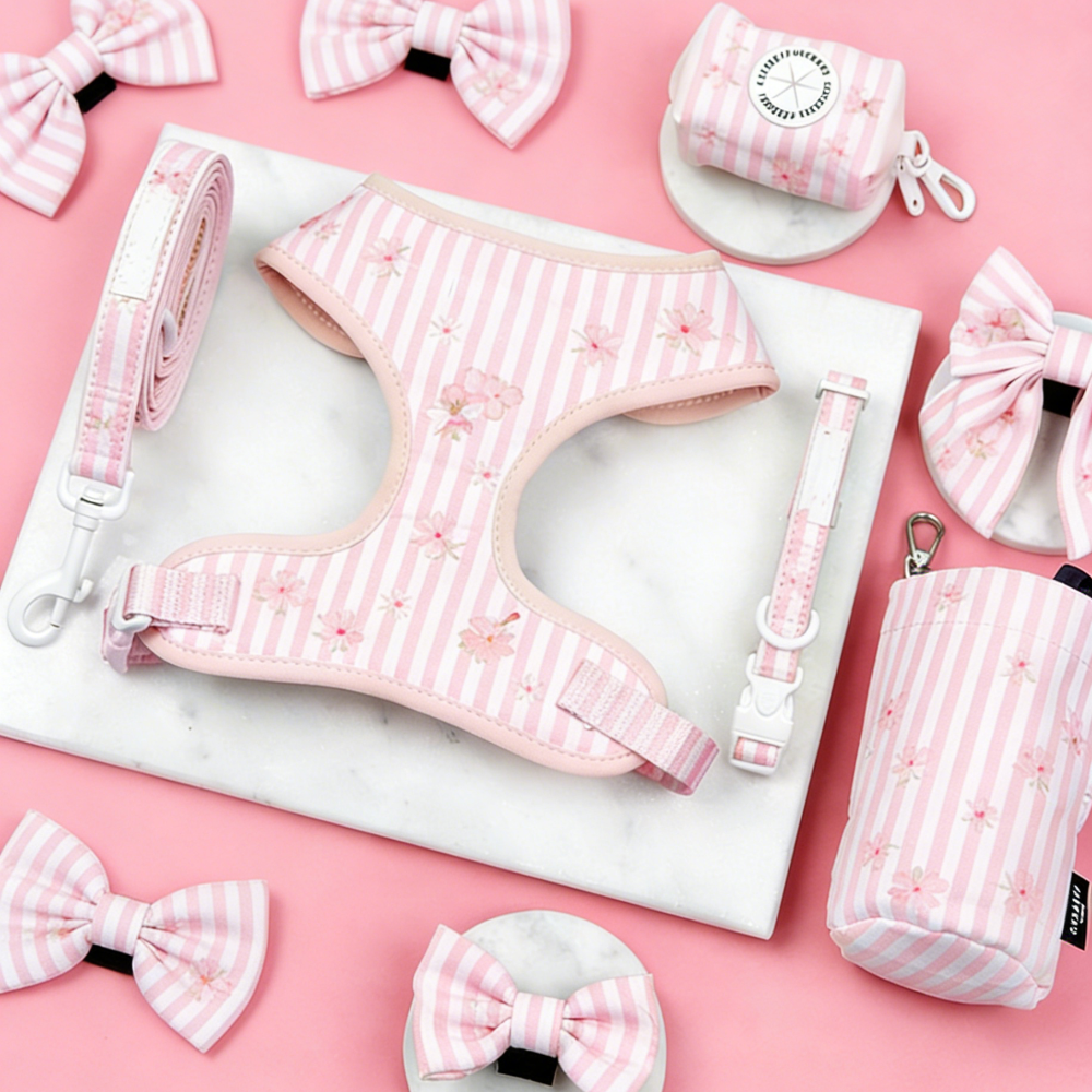 Bulk Personalized Harness Dog Sets | Private Label Custom Pet Accessories for Boutiques & Startups