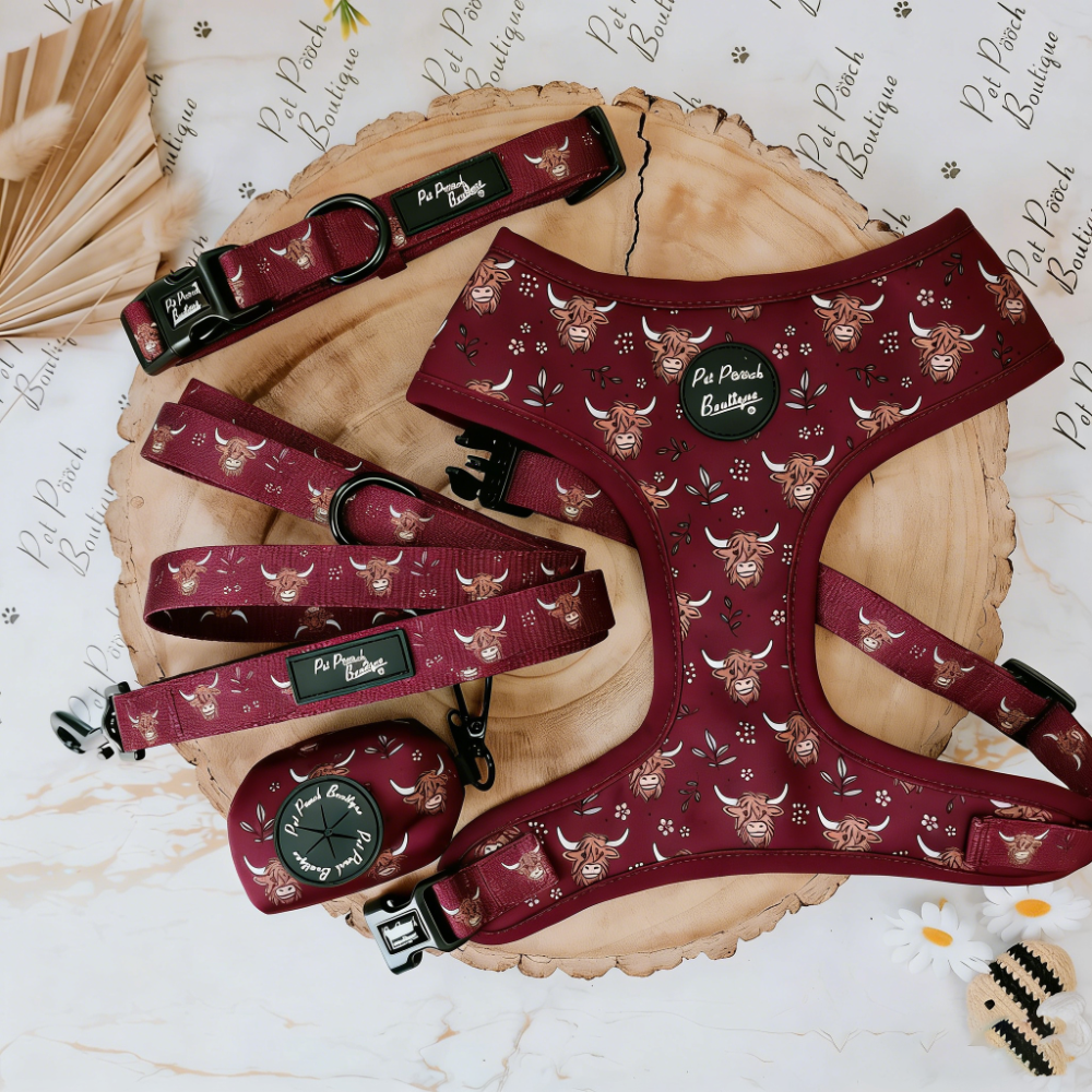 Bulk Personalized Harness Dog Sets | Private Label Custom Pet Accessories for Boutiques & Startups