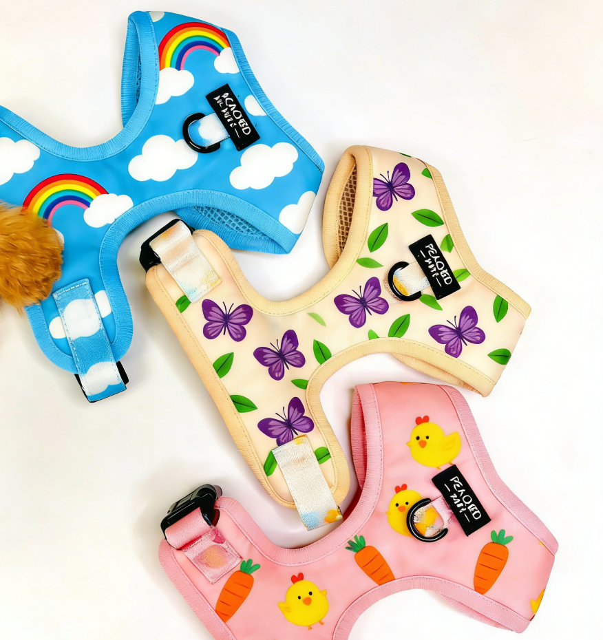 Bulk Personalized Harness Dog Sets | Private Label Custom Pet Accessories for Boutiques & Startups