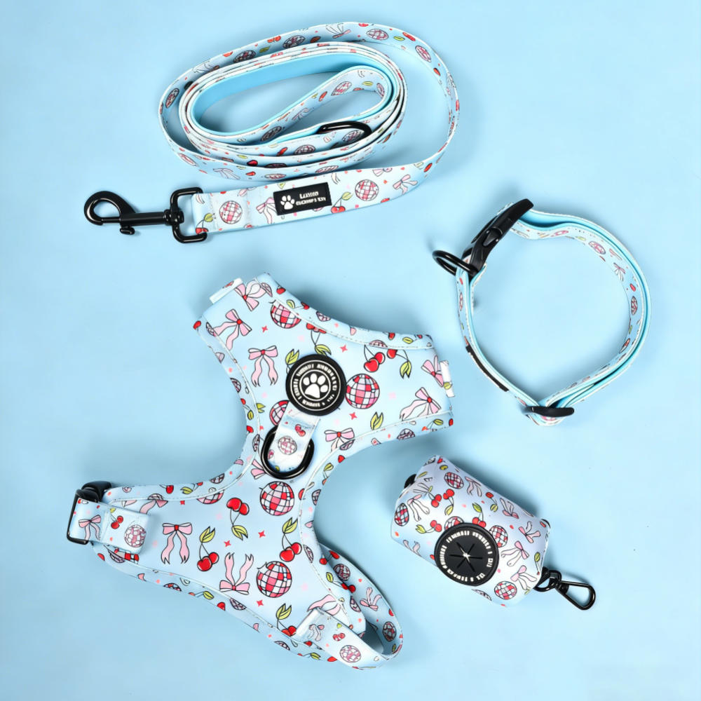 Bulk Personalized Harness Dog Sets | Private Label Custom Pet Accessories for Boutiques & Startups