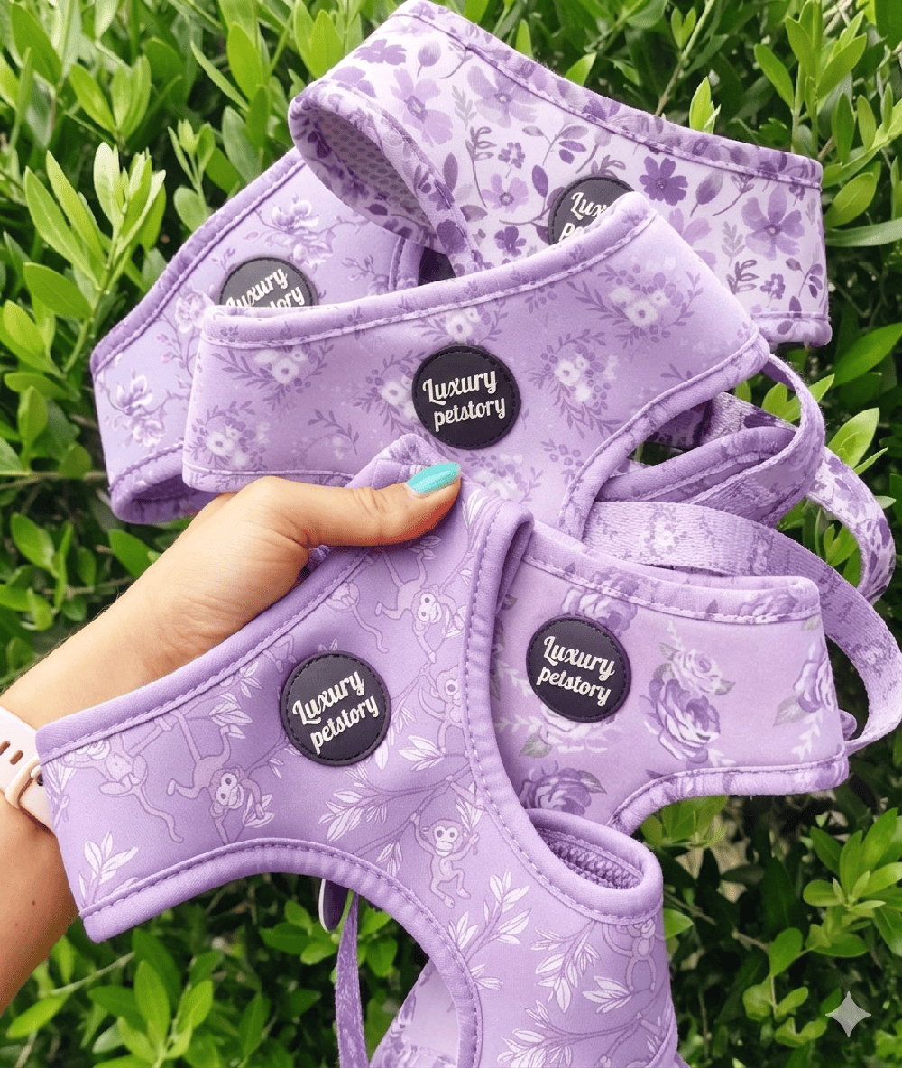Custom Printed Dog Harness Set Manufacturer | Wholesale OEM Pet Harness Supplier