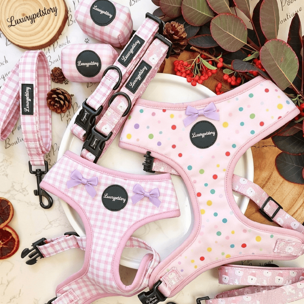 Custom Printed Dog Harness Set Manufacturer | Wholesale OEM Pet Harness Supplier