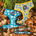 Custom Printed Dog Harness Set Manufacturer | Wholesale OEM Pet Harness Supplier
