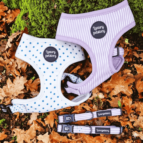 Custom Printed Dog Harness Set Manufacturer | Wholesale OEM Pet Harness Supplier