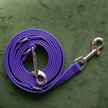 Custom Biothane Hands Free Dog Leash for Pet Brands and Bulk OEM Orders