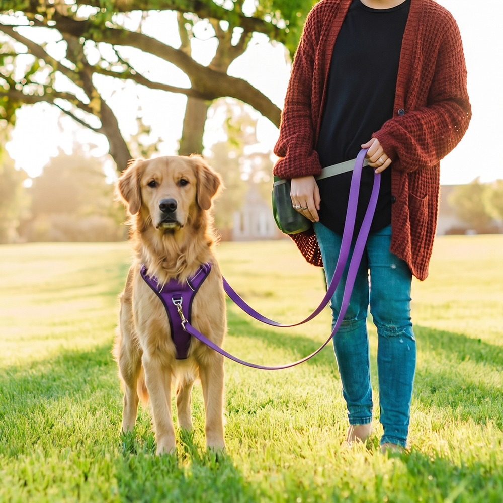 Custom Biothane Hands Free Dog Leash for Pet Brands and Bulk OEM Orders